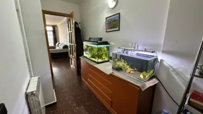 Apartment in Serraparera photo 5