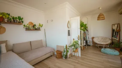 Apartment on Avenida Virgen del Carmen photo 16