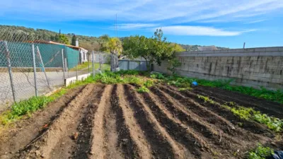 Rustic Finca on Calle del Puente Romano photo 22