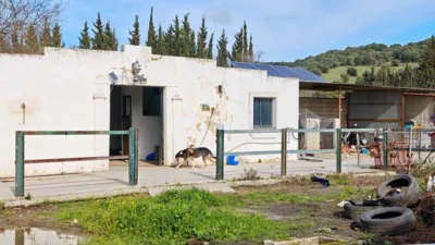 Rustic Finca on Calle del Puente Romano photo 23