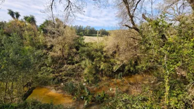 Rustic Finca on Calle del Puente Romano photo 31