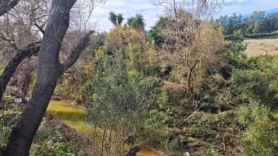 Rustic Finca on Calle del Puente Romano photo 32