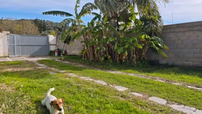 Rustic Finca on Calle del Puente Romano photo 5