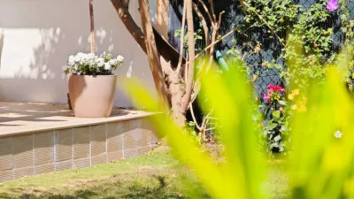 Semi-detached house on Calle Palmeras de Las photo 19