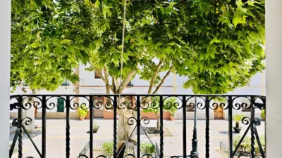 Rustic finca on Calle Real, 27 photo 22