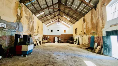 Rustic finca on Calle Real, 27 photo 33