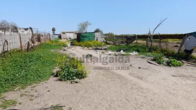 Rustic finca on Carretera Sanlúcar photo 11
