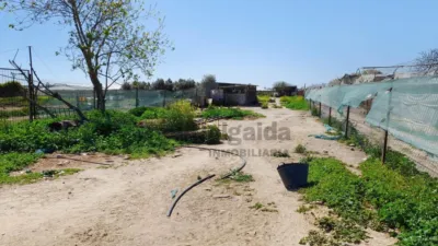 Rustic finca on Carretera Sanlúcar photo 8
