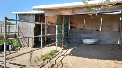 Rustic finca on Carretera Sanlúcar photo 9