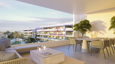 Pis – Torrevieja - Vista 5