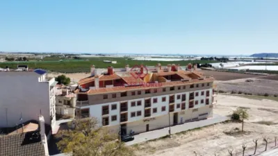 Apartment in Avileses photo 7