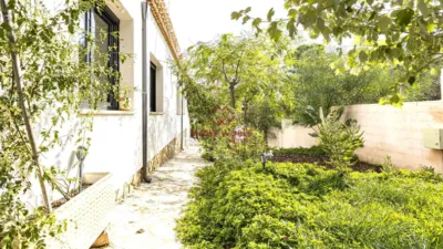 Chalet in Isla Plana-Los Puertos photo 5