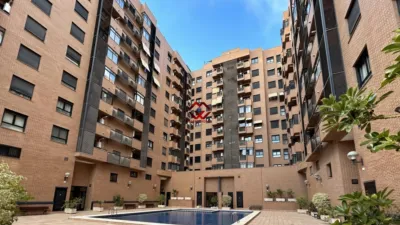 Apartment in Benalua photo 16