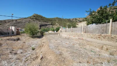 Rustic Finca in Raiguero de Bonanza photo 13
