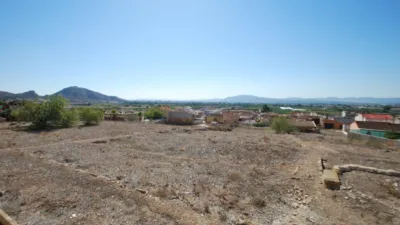 Rustic Finca in Raiguero de Bonanza photo 5