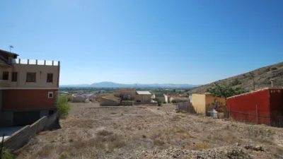 Rustic Finca in Raiguero de Bonanza photo 9