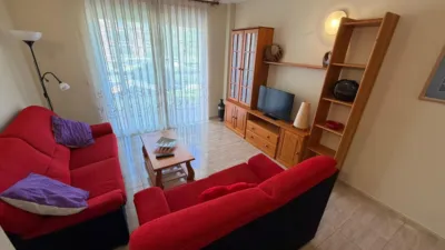 Apartment in La Loma photo 3