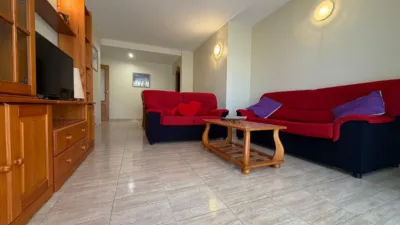 Apartment in La Loma photo 5