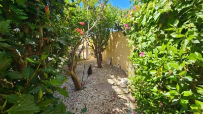 House on Orinocco Street photo 38