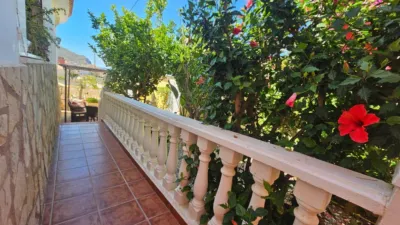 House on Orinocco Street photo 39