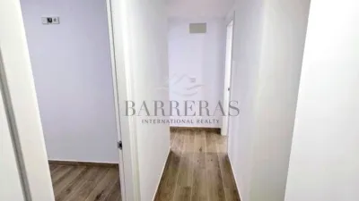 Apartment in San Miguel photo 11