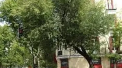 Apartment on Castellana photo 12