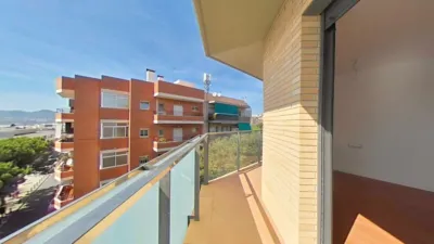 Apartment in El Pedró photo 33