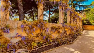 Piso en alquiler en Carrer de València, cerca de Carrer de Sicília - Imagen 23
