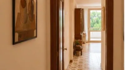 Apartment in Puerto de Alcudia photo 10