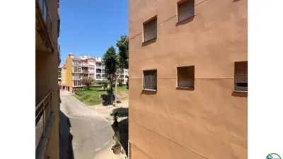 Apartment in the Badia-Gran Reserva Sector photo 16