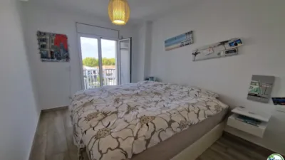 Apartment in Sector del Port Alegre photo 13
