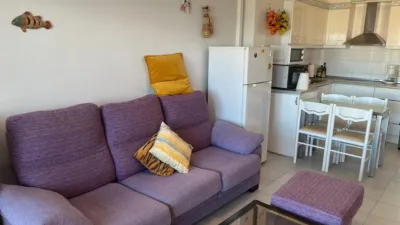 Apartment on Carles Fages Climent Street photo 7
