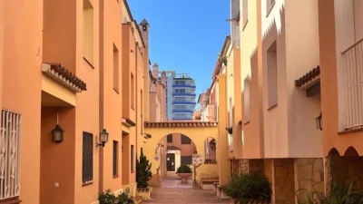 Apartment in the Badia-Gran Reserva Sector photo 20