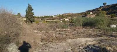 Rustic farm on Calle Los Tollos photo 8