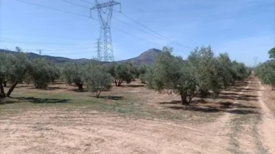 Rustic Finca in Otras photo 5