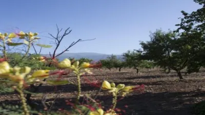 Finca rústica en Huéneja photo 18