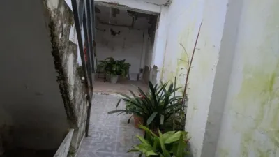 House on Vereda Ancha Street photo 39