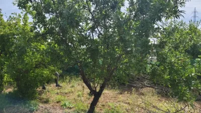 Rustic Finca in Albolote photo 13