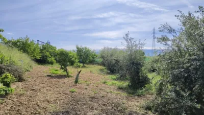 Rustic Finca in Albolote photo 14
