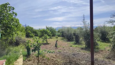 Rustic Finca in Albolote photo 15