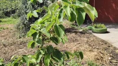 Rustic Finca in Albolote photo 17
