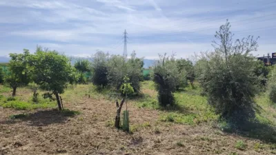 Rustic Finca in Albolote photo 9