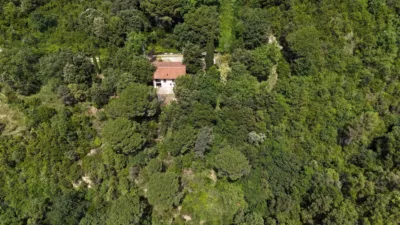 Chalet on Carrer Carreres photo 2