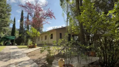 Chalet on Carrer Carreres photo 4