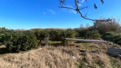 Finca rústica en venta en Plaza Numero 10, Número 59, Massalavés de 80.000 €