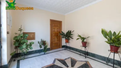 Semi-detached house in Centro photo 43