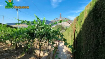 Chalet in the Old Quarter of Motril photo 26