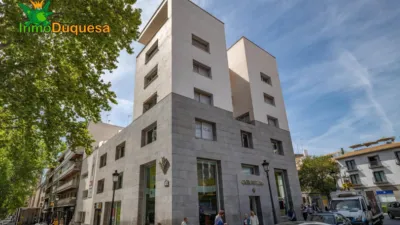 Piso en venta en Acera del Darro, Realejo (Granada Capital) de 950.000 €