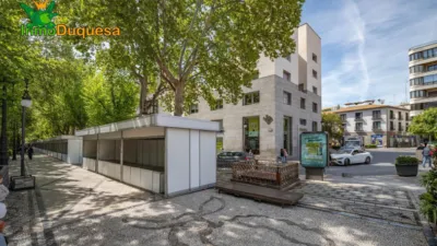 Piso en venta en Acera del Darro, Realejo (Granada Capital) de 950.000 €