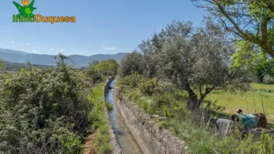 Finca rústica en Afueras photo 7